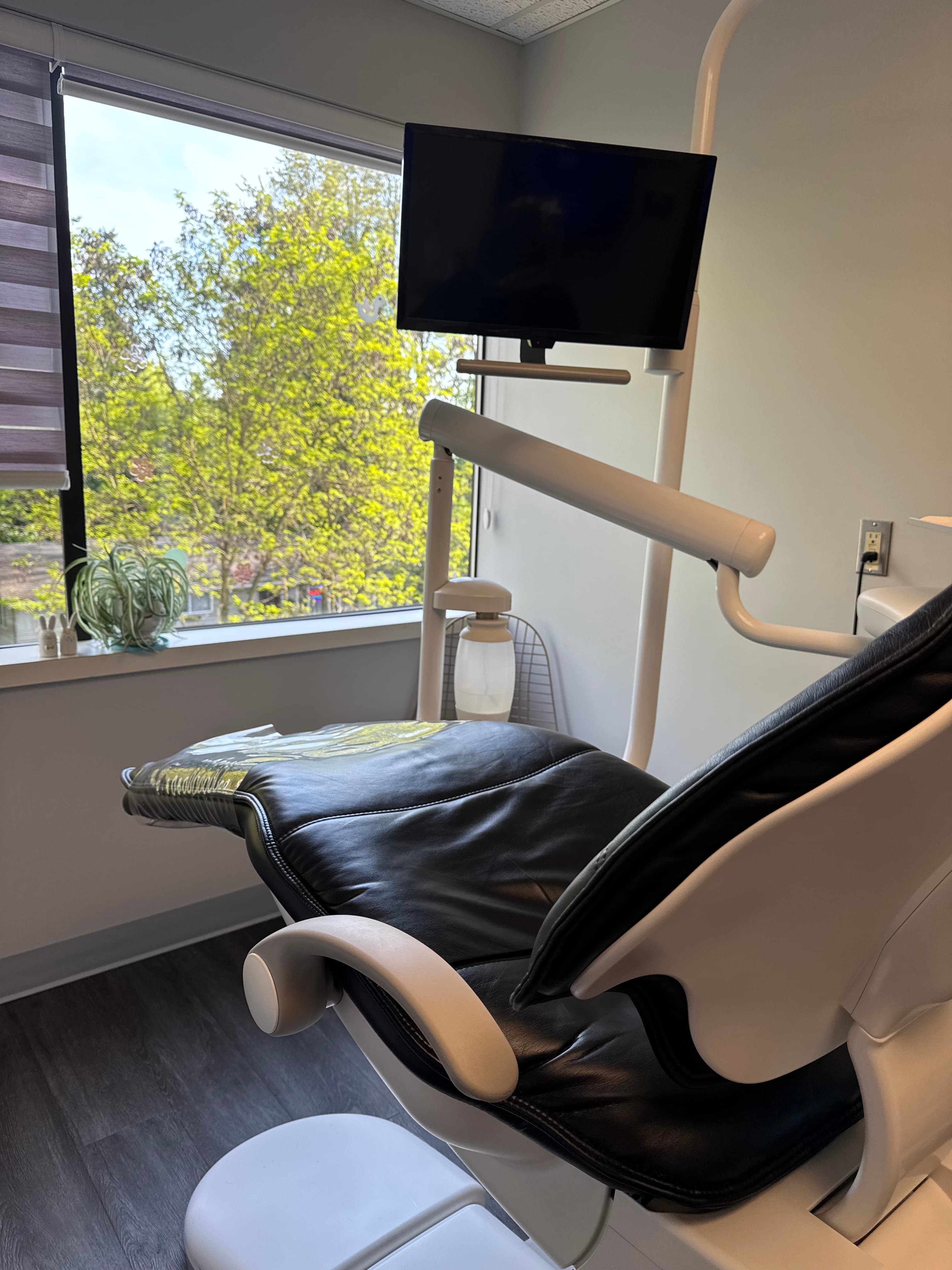 Cleaned exam room at a Renton dental office: leather chair, wall-mounted monitor, and a tidy work surface by a tree-lined window.