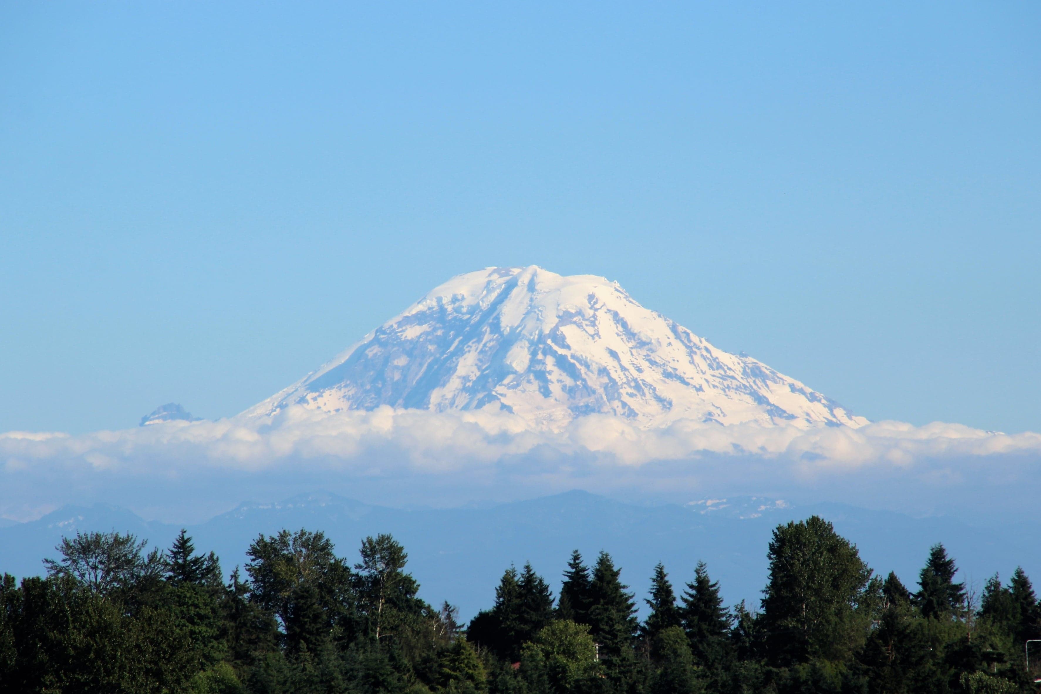 Mount Rainier rising above the Pacific Northwest evergreen treeline on a clear, calm day.